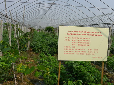 㽭л̽ɣ//԰䣨ףֺģʽ2