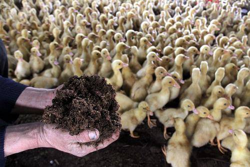 311գɽʡ˫ܩһѼڣԱڲ鿴ϡ