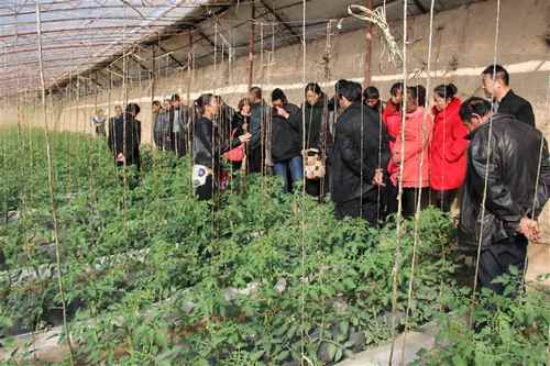 ɹٺũҵ֯»ũѧϰĦʩũҵ