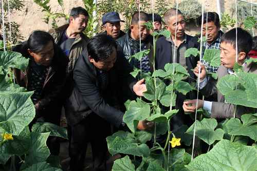 ɹٺũҵ֯»ũѧϰĦʩũҵ2