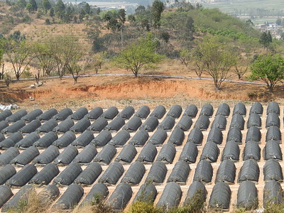 ϪжɽСֵֽ2014ȿ繤Բ