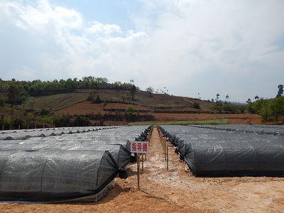 ϪжɽСֵֽ2014ȿ繤Բ2