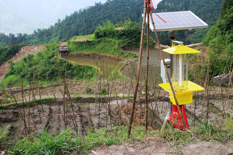 广西桂林资源县:实施绿色植保技术 农业生态循环发展