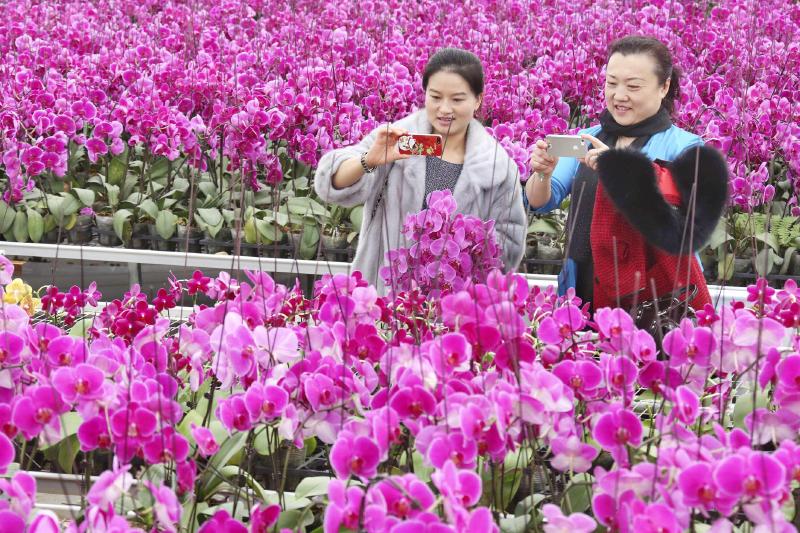 311գִũҵ԰λοࡣ