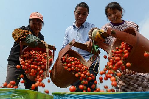 3��12�գ���ũ�ڹ�����ɫ�������������ִ�һ�չ�������ʥŮ��С���ѡ�