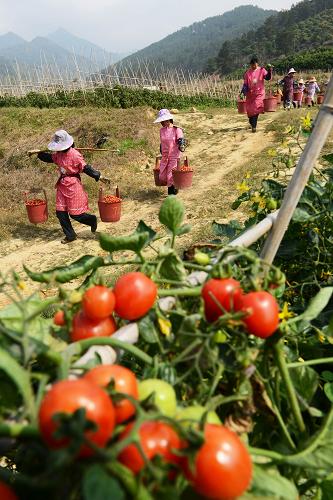 3��12�գ���ũ�ڹ�����ɫ�������������ִ�˵������ʥŮ��С���ѡ�