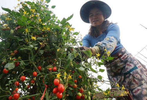 3��12�գ���ũ�ڹ�����ɫ�������������ִ�˵������ʥŮ��С���ѡ�