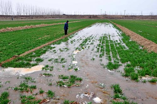 �ӱ��º��أ����࿹������׳