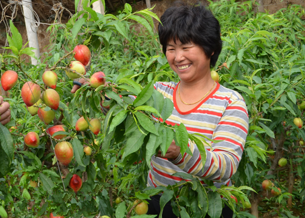 ӱеƽȪأҴﴺҷչũЦ