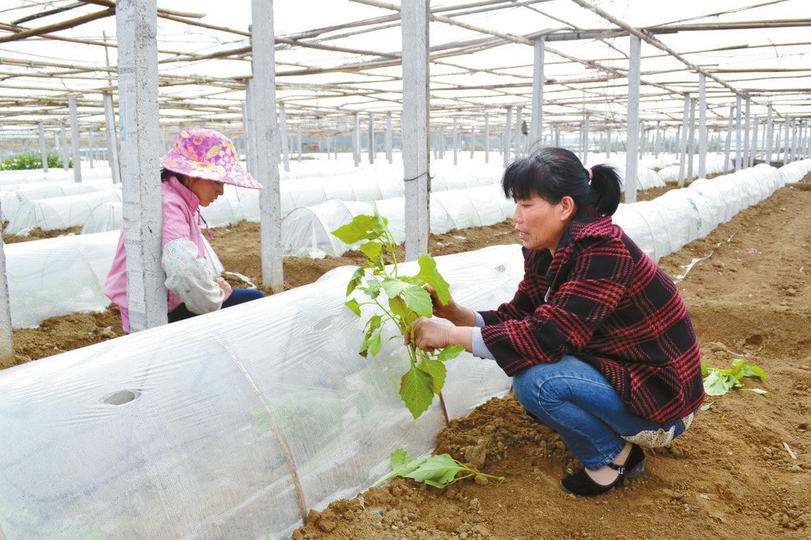 ������������ũ���������ģʽ