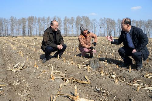 313գũҵƼڵͷΪũУ⡣