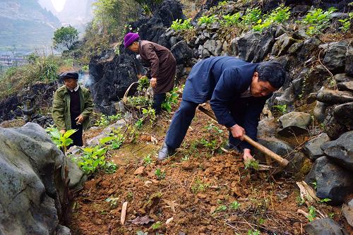 313գ¤Ŵ嵳֧ңʹɣ԰вҩʮ͡