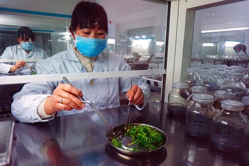 313գԱڴԳʽ𴴰ġɲݡ˾֡