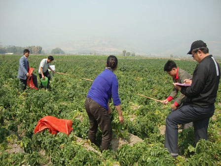 ϵºũҵֵƽԭչ2014߲