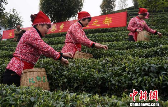 й½һ紺衱ڹƽȫ濪ɸ