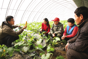 ׯʢԴֲ߲˾չֲ߲ѵ