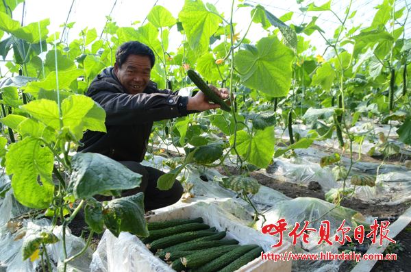 ɹźױʺũַ߲˻óɹ