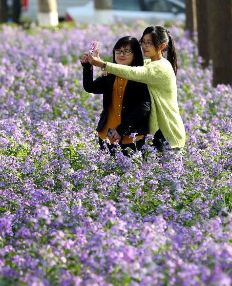 3��17�գ���ѧ���ڡ����������м�ĵ�·��������Ƭ��