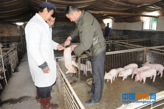 ������ػ���ʵʩ��ȫʡţ���ҵ���ء���Ŀ