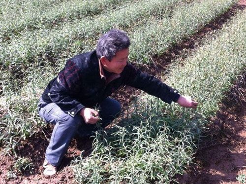 �㽭�Ͱ��أ���ĸæ���򶥡�