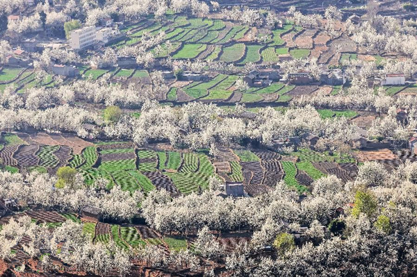 ڽؿ磬׵滨ɫعһ԰318㣩