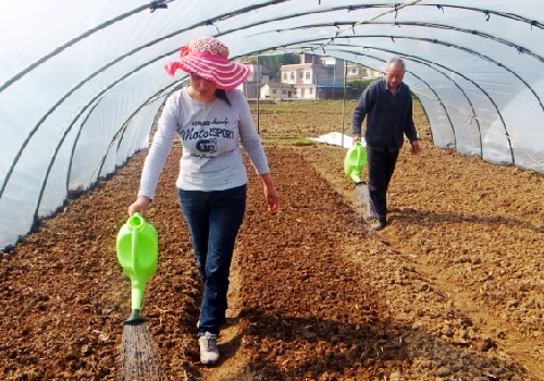 重庆梁平:设施农业风生水起 推动现代农业发展