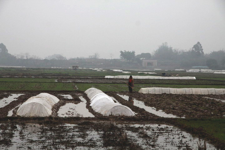 ����������������������絾������������