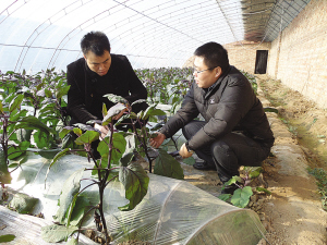 ����о����غ���ׯ�������չ����ũҵ �ٽ���������