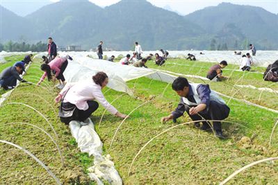 ���ɹ����ֹ���������ũ��ҵ��ҵ��ϵ��ˮƽ