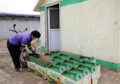 �ӱ����ݣ��������ӡ������ȹ�����