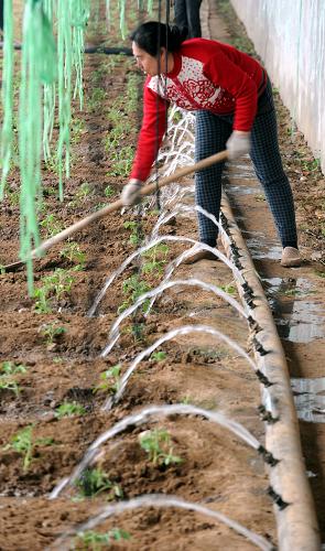 3��19�գ��ӱ�ʡ�����б�ͷ������ڴ���������罽ˮ��