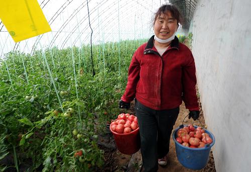 3��19�գ��ӱ�ʡ�����б�ͷ��������ջ���������