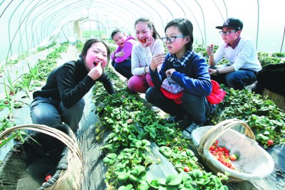 ���������У���һ��һƷ��������