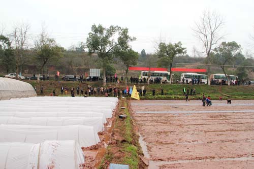 湖南祁东县全面推行早稻集中育秧工作