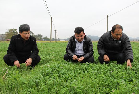 �������ݰ˲���3��Ķ�����̷ʳ���ϲ��