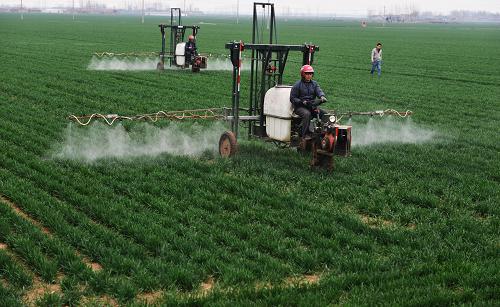 3��19�գ�ɽ����ƽ�س�ɽ��˷�ũ�����ַ�������ũ���ڼ�����Աָ���¸�������ʩҶ��ʡ�