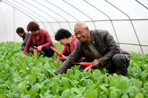 319գڸʡ¤гصկ壬ũСǰԼҶ߲˴ڲ鿴߲˳ơ