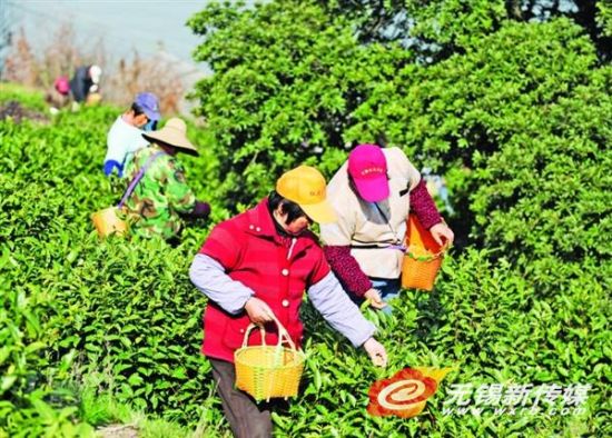 ز²迪 ׹Ǭ紺ĳ6.8Ԫ