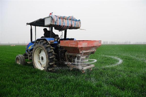 ���գ���Чʩ��С��׳