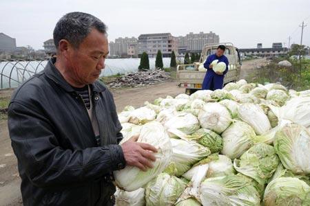 �㽭������ְײ������������� ��ũ����