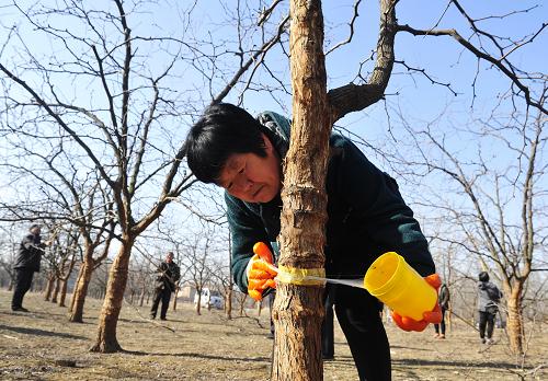 321գڲشҴݶ壬һũˢ潺