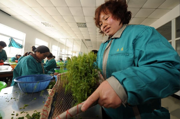 321գɽٯݴҶרҵĹݴҶ