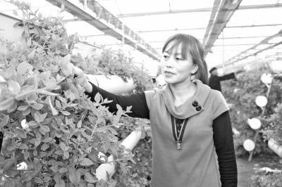 ���ϻ�������Ҳ�����߲�