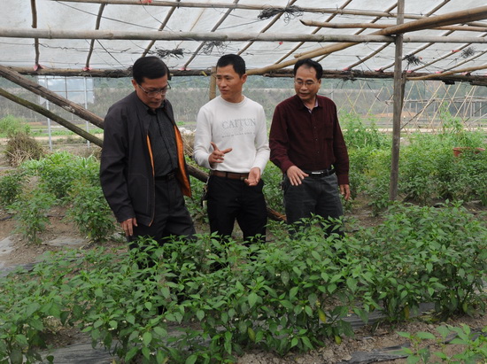 ���������п�չ����Ʒһ�ꡱ���ؼ����걨ָ������