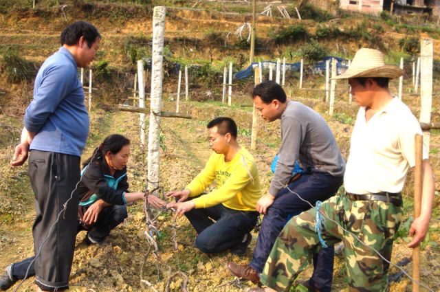 ��������ˮ��������Աָ����ũ��չ���Ѵ������ܻ�����