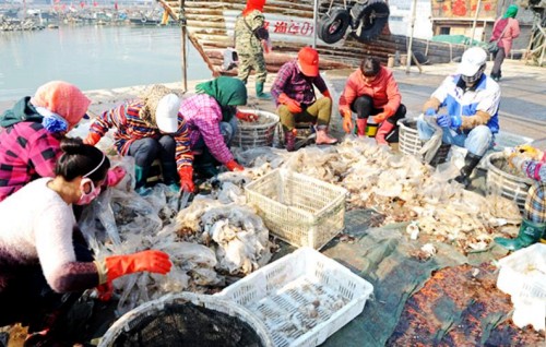 3��23�գ����Ƹ������ˮ����ͷ�������ڷּ��ʻ�����׼��װ�����ˡ�