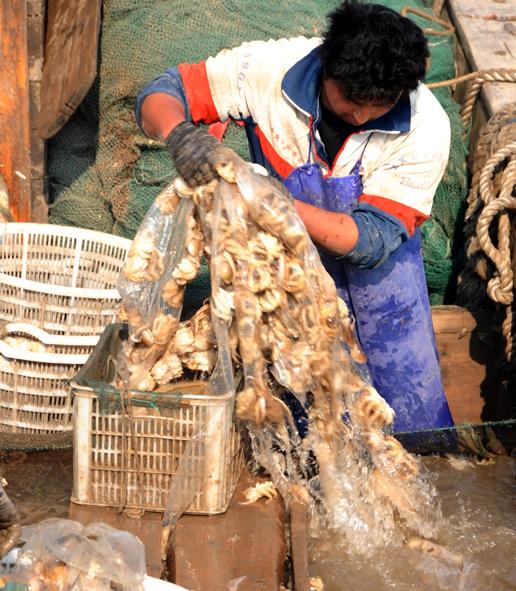 3��23�գ����Ƹ������ˮ����ͷ���������洬�Ͻ��ʻ�����װ�������ϰ�