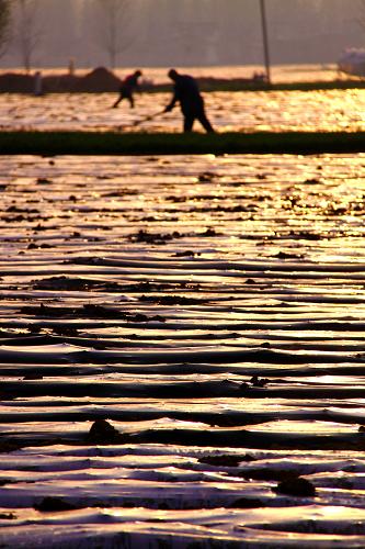 ɽ����ׯ�У����»����� ũ�����æ