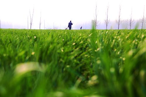 3��23�գ�ɽ����ׯ��ɽͤ��������ũ������������