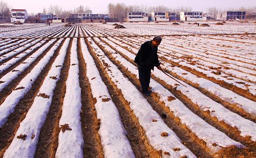 3��23�գ�ɽ����ׯ��ɽͤ����ׯ���ũ��Ը�Ĥ����������������